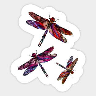 Ornate Dragon Fly Colorful Insect Illustration Sticker